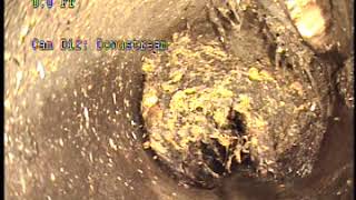 CCTV of sewer lines on Oakland property [upl. by Eolcin]