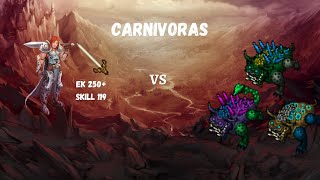 Tibia  Carnivoras 1 2  Level 250  EK Hunt Solo  Skill Sword 119  12KKh RAW  500k profit [upl. by Lukey]