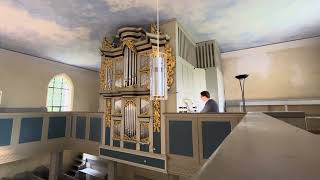 SchnitgerOrgel Blankenhagen JPSweelinck 15621621  PrÃ¤ludium FDur [upl. by Yrtnahc]