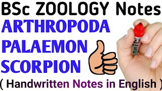 Bsc 2nd year zoology notes Animal diversity paper notes Arthropoda  Scorpion  Palaemon [upl. by Nihi]