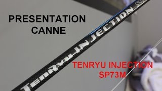 Présentation canne Tenryu Injection SP73M [upl. by Ived]