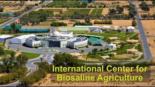 International Center for Biosaline Agriculture ICBA [upl. by Llet760]