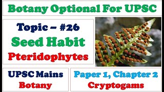 Seed Habit Pteridophytes Evolution Heterospory amp Origin of Seed Habit Selaginella Heterospory [upl. by Esmond]