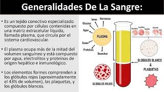 Histología de la Sangre 2024 [upl. by Einnor]