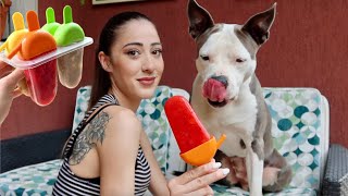 GELATO PER CANI ALLA FRUTTA 🍓🍏🍌🥝  Valentina Lattanzio [upl. by Aja]