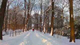 Winterzauber im Lütetsburger Park [upl. by Inuat393]