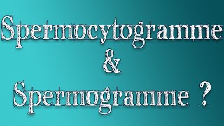 Spermocytogramme amp Spermogramme  La Différence [upl. by Arvad]