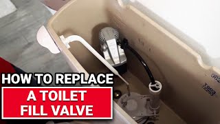 fluidmaster toilet fill valve repair replacement how to diy tutorial [upl. by Teillo]