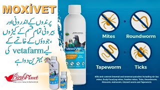 MoxiVet Plus is veterinary formulated for the control of internal and external parasites [upl. by Tigirb]