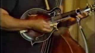 Seldom Scene Live Birchmere 1979 Part 2 [upl. by Alfonse]