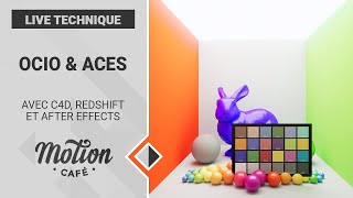 OCIO amp ACES in Cinema 4D and After Effects [upl. by Cigam]