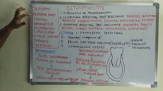 Osteomyelitis  etiopathogenesis and classification [upl. by Thoma]