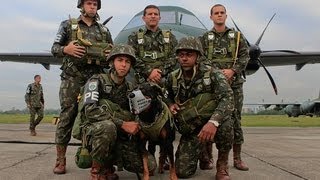 CANÇÃO DE TFM  Cães de Guerra preparar [upl. by Arvind859]