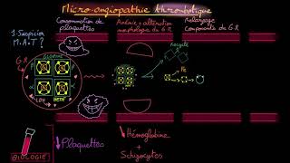 Microangiopathie thrombotique  Partie 1  Théorie  Docteur Synapse [upl. by Adnohsat]