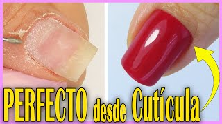 MATERIAL BÁSICO Para Aplicar ESMALTE SEMIPERMANENTE 💅🌈  9 [upl. by Assila]