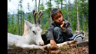 Кочевники Тайги 1992 Nomads of Taiga [upl. by Atinek]