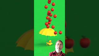 Ducky Vs Apples 🤪 apples babyduck funnyshorts [upl. by Tena399]