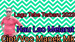 Lagu Tebe tebe susah terbaru 2023 Hau Lao Melarat ciptVoc Manek Mk [upl. by Annovad]