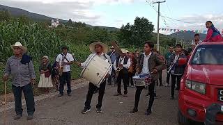 Tampico Hermoso Orquesta Jarillera de Buenavista San Agustín Tlacotepec 🎷🎵🎺🎵 [upl. by Fox]