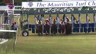 The Mauritius Guineas Cup  Alyaasaat  NJuglall [upl. by Gavrila663]