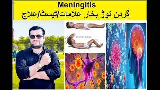 What is Meningitis in urduHindi [upl. by Bartolemo]