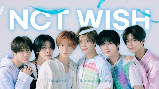 위시 송버드 안전하게 배송되었습니다📦🕊️ 엔시티 위시 송버드 플레이리스트  가사  발음  해석  NCT WISH Songbird Playlist [upl. by Servetnick]