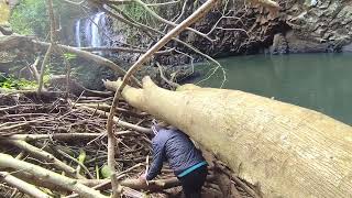 We Found a Secret Waterfall in Mauritius [upl. by Kurth]