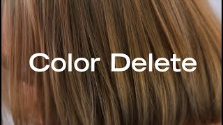 How To Remove Permanent Haircolor In a Single Step  Color Delete [upl. by Enirhtak]