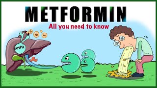 Metformin Uses Mechanism of action Side effects Contraindications [upl. by Leamaj]