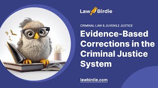 EvidenceBased Corrections in the Criminal Justice System  Essay Example [upl. by Yulma]