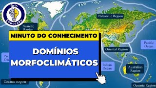 O que são os Domínios Morfoclimáticos  Brio Educação [upl. by Satsoc360]