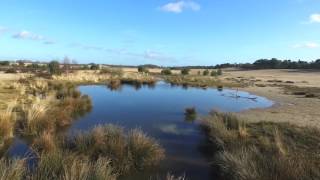 National Park Loonse amp Drunense Duinen by 11 Shots Media [upl. by Radu]