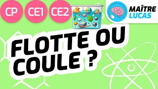 Coule ou flotte  CP  CE1  CE2  Cycle 2  Questionner le monde  Sciences [upl. by Milburr]