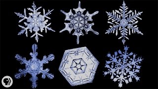 The Science of Snowflakes [upl. by Clynes171]