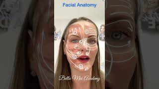 Online Facial Anatomy Course [upl. by Aimet942]