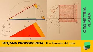 Mitjana proporcional  Teorema catet  Transformacions anamòrfiques i isomòrfiques [upl. by Leinnad]