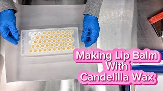 Making Lip Balm With Candelilla Wax [upl. by Yelkrab]