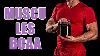 Comment prendre de la BCAA en musculation  Les effets des acides aminés [upl. by Savina452]