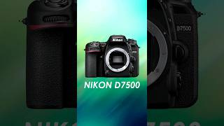 Nikon D7500 Review 📸 ✅️ [upl. by Eybba]