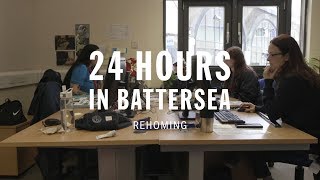 Rehoming  24 Hours In Battersea [upl. by Mayworm]