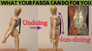 Doing Undoing and NonDoing What Your Fascia Can Do For You [upl. by Lyon]