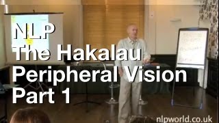 The Hakalau  Peripheral Vision Part 1 [upl. by Nosreve329]