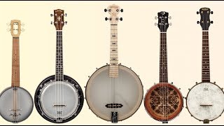 Review Banjo Ukes from Deering Kala Luna Gold Tone and Magic Fluke [upl. by Ytima]