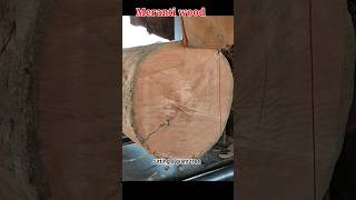 cutting a giant tree RahmadAoliya sawmill [upl. by Gibbie644]