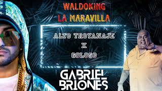 Alto troyanaje x goloso waldoking la maravilla ftDj Gabriel Briones [upl. by Thapa599]