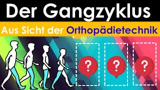 Der Gangzyklus aus Sicht der Orthopädietechnik [upl. by Simaj]