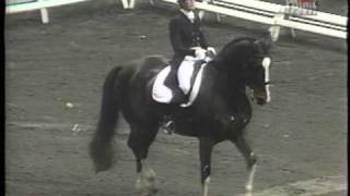 DRESSAGE Carol Lavell  The Gift of Gifted [upl. by Hilda]