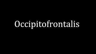 How to pronounce Occipitofrontalis [upl. by Aeht]