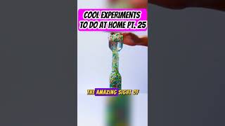 COOL EXPERIMENTS TO DO AT HOME PT 25 diy experiment coolexperiments science scienceexperiments [upl. by Annekcm]