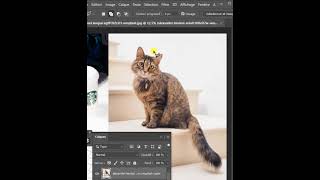 Chat qui miaule  Photoshop miauler shorts chat [upl. by Leihcey]